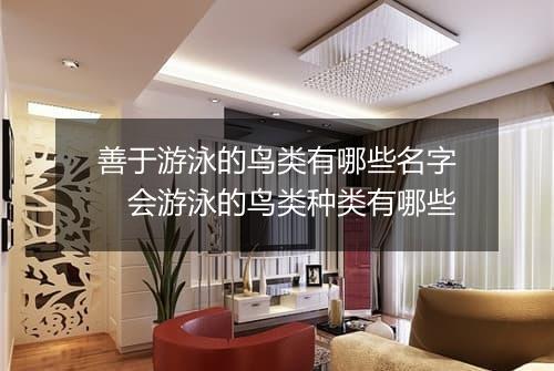 善于游泳的鸟类有哪些名字　会游泳的鸟类种类有哪些